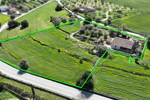 Villa in Modica, Ragusa, Modica - € 459.000 | Ref: V 67 C - foto 3