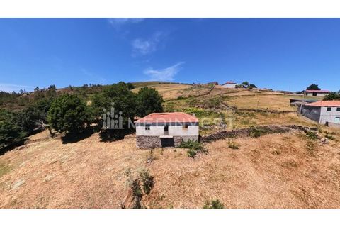 Granja a Boticas, Vila Real, Boticas - € 55.500 | Ref: BOT 001 - foto 6