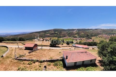 Granja a Boticas, Vila Real, Boticas - € 55.500 | Ref: BOT 001 - foto 8