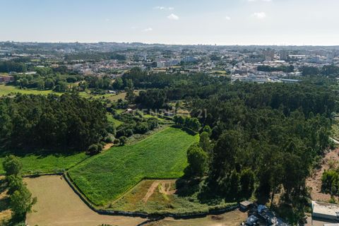 Lejlighed i Maia, Porto, Maia - € 330.000 | Ref: C0510-00674 - foto 30