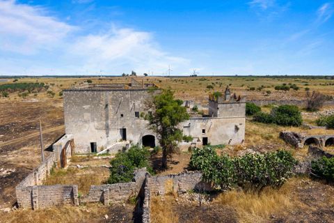 Farm i Manduria, Taranto, Manduria - € 800.000 | Ref: 2285 - foto 3