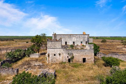 Farm i Manduria, Taranto, Manduria - € 800.000 | Ref: 2285 - foto 5