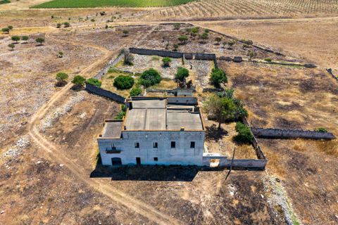 Farm i Manduria, Taranto, Manduria - € 800.000 | Ref: 2285 - foto 6