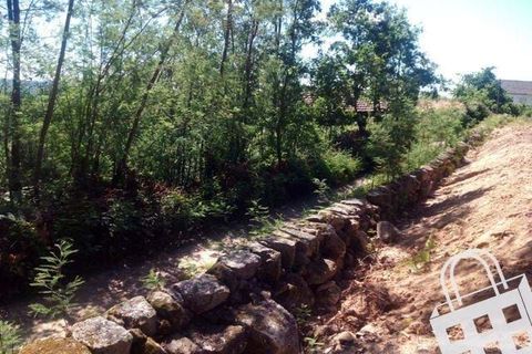 Terra a Carvalhais e Candal, Viseu, Carvalhais e Candal - € 65.000 | Ref: 353/T/00329 - foto 2