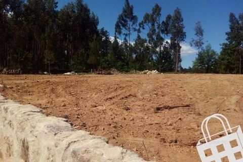 Terra a Carvalhais e Candal, Viseu, Carvalhais e Candal - € 65.000 | Ref: 353/T/00329 - foto 3
