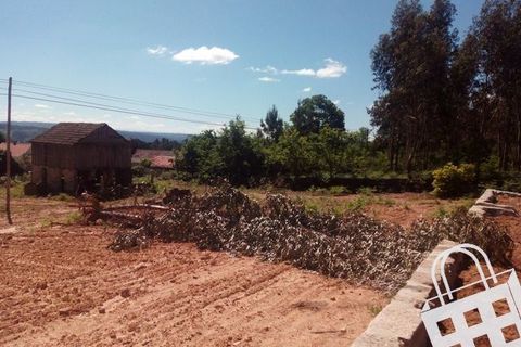 Terra a Carvalhais e Candal, Viseu, Carvalhais e Candal - € 65.000 | Ref: 353/T/00329 - foto 4
