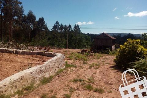 Terra a Carvalhais e Candal, Viseu, Carvalhais e Candal - € 65.000 | Ref: 353/T/00329 - foto 6