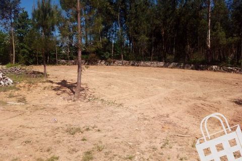 Terra a Carvalhais e Candal, Viseu, Carvalhais e Candal - € 65.000 | Ref: 353/T/00329 - foto 7