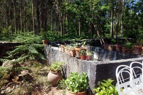 Terra a Carvalhais e Candal, Viseu, Carvalhais e Candal - € 65.000 | Ref: 353/T/00329 - foto 8