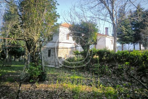 Villa a Paredes de Coura, Viana do Castelo, Paredes de Coura - € 239.800 | Ref: CD0058 - foto 23