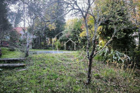 Villa a Paredes de Coura, Viana do Castelo, Paredes de Coura - € 239.800 | Ref: CD0058 - foto 28