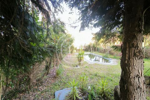 Villa a Paredes de Coura, Viana do Castelo, Paredes de Coura - € 239.800 | Ref: CD0058 - foto 34