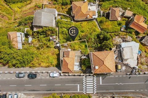 Villa i Camacha, Madeira, Camacha - € 175 000 | Ref: C0216-03352 - foto 7