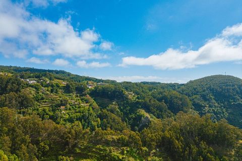 Villa i Camacha, Madeira, Camacha - € 175 000 | Ref: C0216-03352 - foto 14