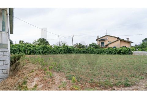 Villa a Castro Daire, Viseu, Castro Daire - € 199.000 | Ref: KWPT-035219 - foto 22