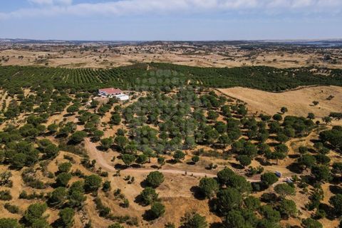 Farm i Ourique, Beja, Ourique - € 1.180.000 | Ref: MCD020 - foto 5