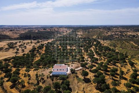 Farm i Ourique, Beja, Ourique - € 1.180.000 | Ref: MCD020 - foto 33