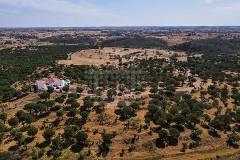 Farm i Ourique, Beja, Ourique - € 1.180.000 | Ref: MCD020 - foto 34