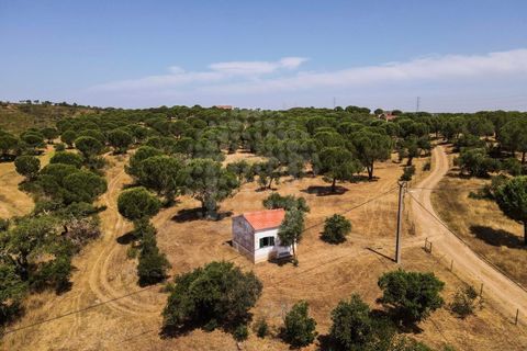 Farm i Ourique, Beja, Ourique - € 1.180.000 | Ref: MCD020 - foto 36
