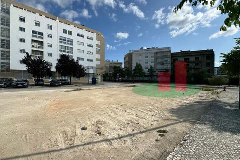 Helårsgrund i Rio Maior, Santarem, Rio Maior - € 300.000 | Ref: 41.23 - foto 23