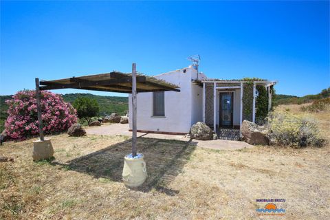 Villa a Castelsardo, Sassari, Castelsardo - € 390.000 | Ref: Villa con terreno - foto 4