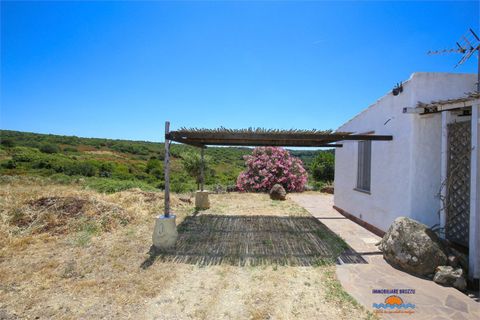 Villa a Castelsardo, Sassari, Castelsardo - € 390.000 | Ref: Villa con terreno - foto 6