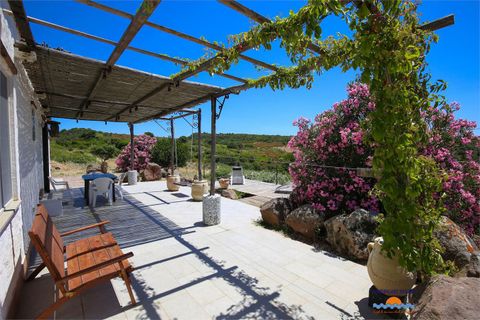 Villa a Castelsardo, Sassari, Castelsardo - € 390.000 | Ref: Villa con terreno - foto 19