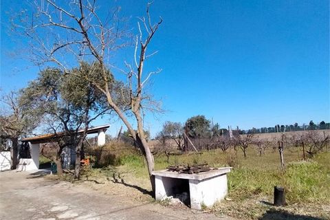 Villa em Sorso, Sassari, Sorso - € 178.000 | Ref: Villa Platamona - foto 4