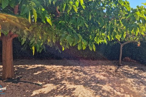 Villa i Magalas, Herault, Magalas - € 239.900 | Ref: 340932913109 - foto 10