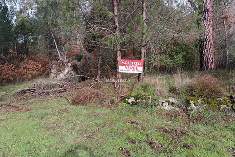 Helårsgrund i Seia, Guarda, Seia - € 11.000 | Ref: 25039 - foto 1