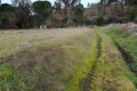 Helårsgrund i Seia, Guarda, Seia - € 11.000 | Ref: 25039 - foto 2