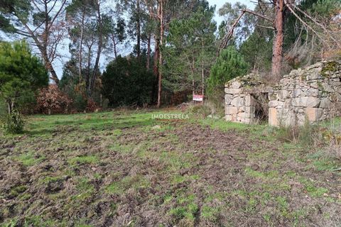Helårsgrund i Seia, Guarda, Seia - € 11.000 | Ref: 25039 - foto 3