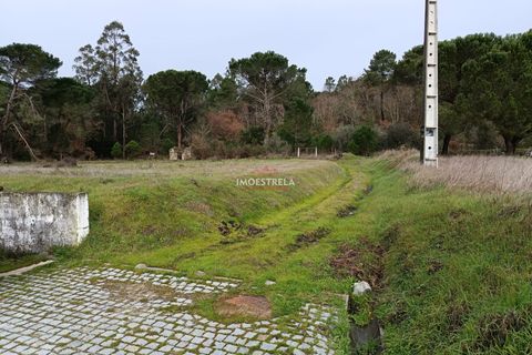 Helårsgrund i Seia, Guarda, Seia - € 11.000 | Ref: 25039 - foto 4