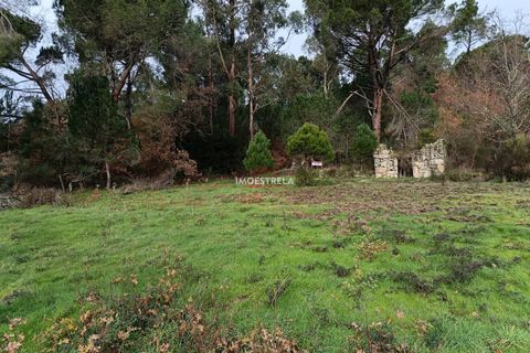 Helårsgrund i Seia, Guarda, Seia - € 11.000 | Ref: 25039 - foto 5