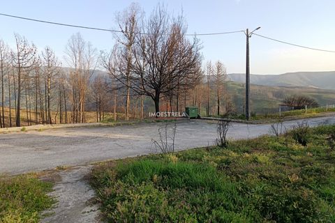 Helårsgrund i Seia, Guarda, Seia - € 26.000 | Ref: 26008 - foto 6
