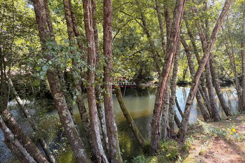 Farm i Seia, Guarda, Seia - € 120.000 | Ref: 26016 - foto 1