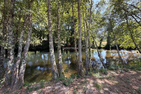 Farm i Seia, Guarda, Seia - € 120.000 | Ref: 26016 - foto 2