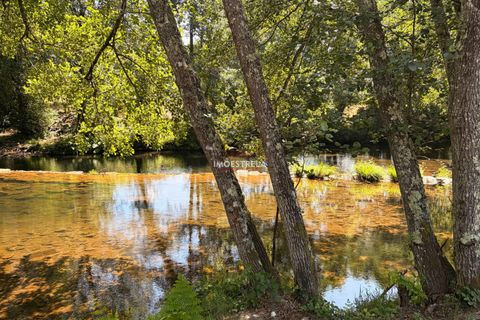 Farm i Seia, Guarda, Seia - € 120.000 | Ref: 26016 - foto 3