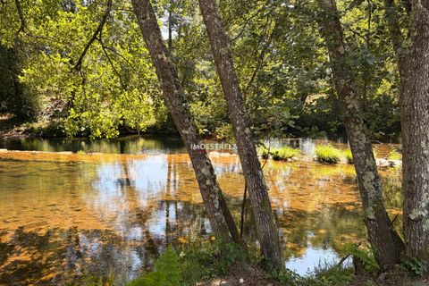 Farm i Seia, Guarda, Seia - € 120.000 | Ref: 26016 - foto 4