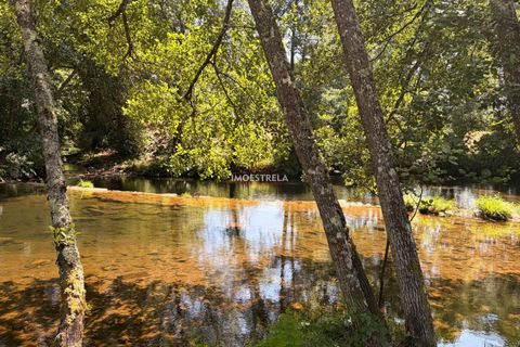 Farm i Seia, Guarda, Seia - € 120.000 | Ref: 26016 - foto 5