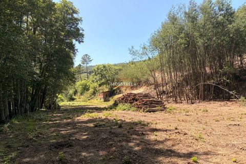 Farm i Seia, Guarda, Seia - € 120.000 | Ref: 26016 - foto 8
