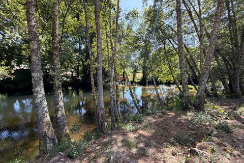 Farm i Seia, Guarda, Seia - € 120.000 | Ref: 26016 - foto 9