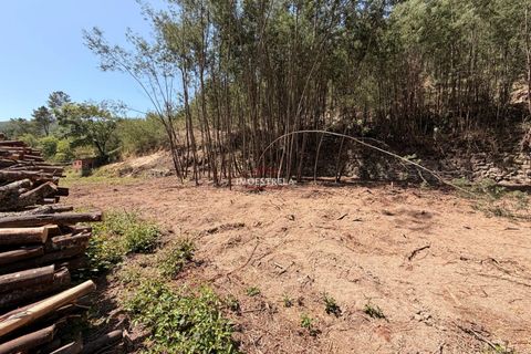 Farm i Seia, Guarda, Seia - € 120.000 | Ref: 26016 - foto 11