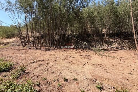 Farm i Seia, Guarda, Seia - € 120.000 | Ref: 26016 - foto 12