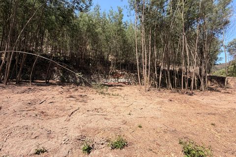 Farm i Seia, Guarda, Seia - € 120.000 | Ref: 26016 - foto 13