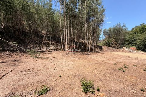Farm i Seia, Guarda, Seia - € 120.000 | Ref: 26016 - foto 14