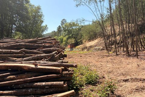 Farm i Seia, Guarda, Seia - € 120.000 | Ref: 26016 - foto 15