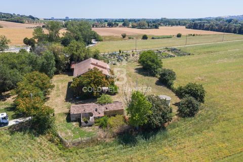 Masia a Recanati, Macerata, Recanati - € 147.000 | Ref: CBI099-1528-520896 - foto 7