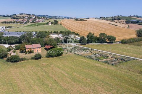 Masia a Recanati, Macerata, Recanati - € 147.000 | Ref: CBI099-1528-520896 - foto 10