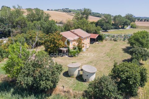 Masia a Recanati, Macerata, Recanati - € 147.000 | Ref: CBI099-1528-520896 - foto 12